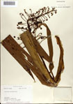 000076854-thumbnail.jpg