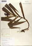 000076855-thumbnail.jpg