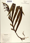 000076874-thumbnail.jpg