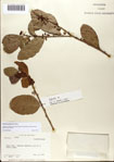 000077303-thumbnail.jpg