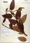 000078458-thumbnail.jpg