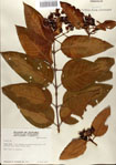 000078461-thumbnail.jpg