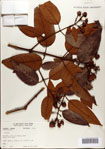 000078468-thumbnail.jpg