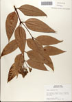 000078469-thumbnail.jpg