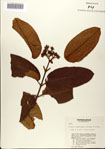 000078475-thumbnail.jpg
