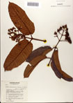 000078476-thumbnail.jpg