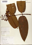 000078480-thumbnail.jpg