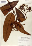000078495-thumbnail.jpg