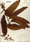 000078496-thumbnail.jpg