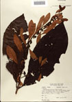 000079822-thumbnail.jpg