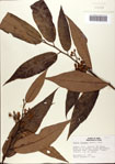 000080354-thumbnail.jpg