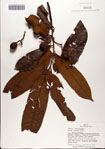 000080356-thumbnail.jpg