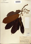 000080359-thumbnail.jpg