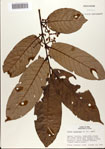 000080361-thumbnail.jpg