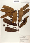 000080362-thumbnail.jpg