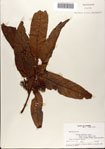 000080369-thumbnail.jpg