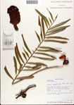 000081294-thumbnail.jpg