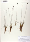 000081334-thumbnail.jpg