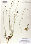 000081348-thumbnail.jpg