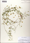 000081419-thumbnail.jpg