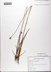 000081658-thumbnail.jpg