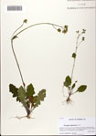 000081765-thumbnail.jpg