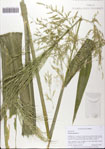 000081780-thumbnail.jpg