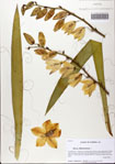 000081998-thumbnail.jpg