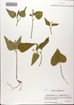 000082188-thumbnail.jpg