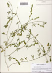 000082254-thumbnail.jpg