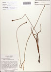 000082461-thumbnail.jpg