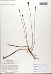 000082462-thumbnail.jpg