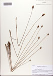 000082475-thumbnail.jpg