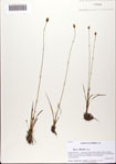 000082476-thumbnail.jpg