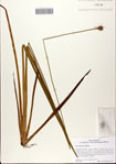 000082706-thumbnail.jpg
