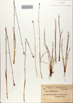 000082724-thumbnail.jpg