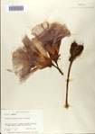 000082806-thumbnail.jpg