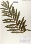 000083002-thumbnail.jpg