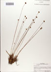 000083117-thumbnail.jpg