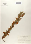 000083152-thumbnail.jpg