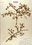 000083153-thumbnail.jpg