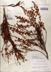000083154-thumbnail.jpg