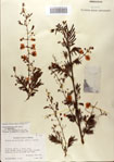 000083155-thumbnail.jpg