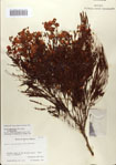 000083156-thumbnail.jpg