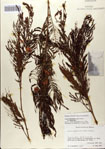 000083157-thumbnail.jpg