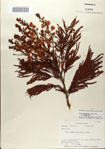000083160-thumbnail.jpg