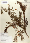 000083163-thumbnail.jpg