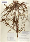 000083164-thumbnail.jpg