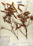 000083165-thumbnail.jpg