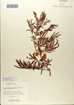 000083169-thumbnail.jpg